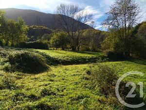 Terrain à vendre - 10490 m2 - Fougaron - 31 - MIDI-PYRENEES