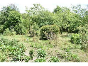 Terrain Franconville 380 m2