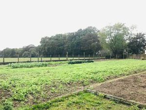 Vente Terrain à La Chapelle-des-Marais (44410) : à vendre / 1110m² La Chapelle-des-Marais