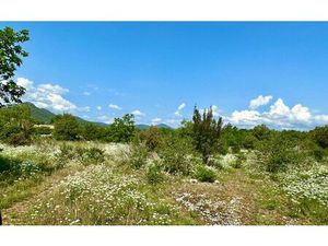 Terrain Les Vans m² T- à vendre  132 000 €