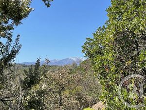 Terrain à vendre - 13479 m2 - Llauro - 66 - LANGUEDOC-ROUSSILLON