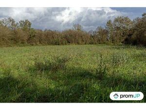 Vente terrain 5810 m² Loqueffret (29530)