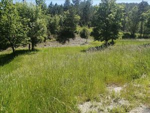 Vente terrain 983 m² Luzech (46140)