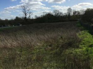 Grand et beau terrain