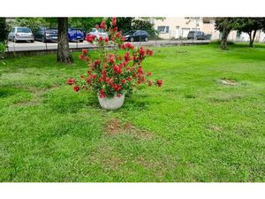 Terrain Millery m² T- à vendre  249 000 €