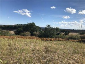 Vente terrain 1336 m² Quinssaines (03380)