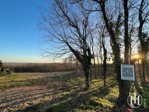 Vente terrain 7930 m² à Saint-Amand-Montrond (18200)  55 000 €