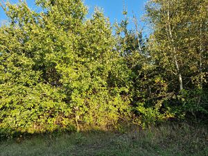 UN TERRAIN A BATIR 2360 m²