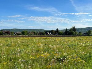 Terrain Borderes 1240 m2