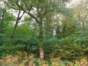 Vente terrain 2294 m² à Cublac (19520)  14 000 €