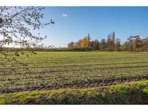 Grond te koop in Kalmthout