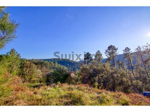 Terrain constructible dominant la vallée