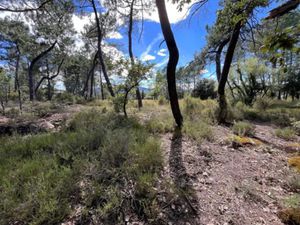 Vente terrain à batir 3599 m² à Les Assions (07140)  120 000 €