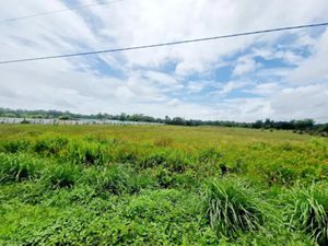 Vente terrain à batir 10000 m² à Macouria Tonate (97355)  120 000 €