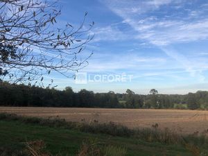 Terrain Maxent 570m²