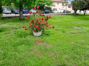 Vente terrain 300 m² à Millery (69390)  249 000 €