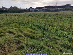 Terrain 1056 m² Sougeres sur sinotte