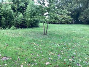 Terrain constructible