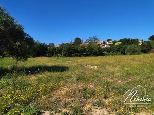 TERRAIN CONSTRUCTIBLE SAUZET (30)