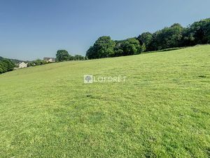 Terrain en nature de pré 2 4 hectares & hangar de 140 m²