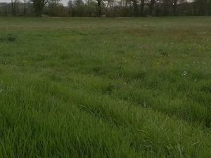 Bâtiment avec CU et 6 ha de terre agricole