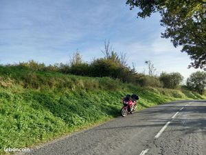 Vends terrain boisé