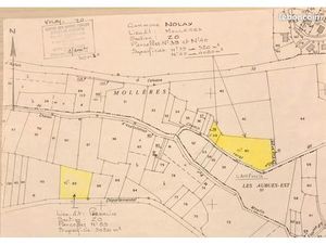 Terrain 3020m2 NOLAY (21340)