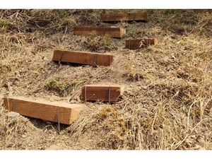 Annonce terrain à vendre