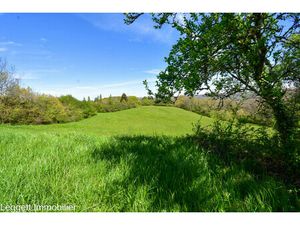 Terrain à vendre à Thenon (24210) - Dordogne
