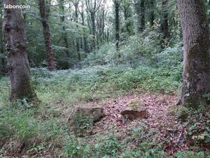 Terrain boisé à La Couture Boussey 27750