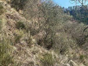 Terrain de loisir de 685m2 a louer a villars sur var 06 alpes maritimes