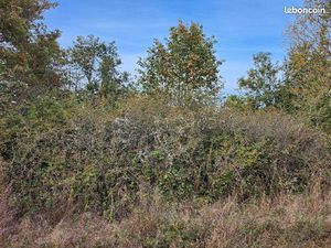 Terrain non constructible 2 parcelles de 3822m2