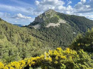 Maison à vendre Tartonne - 1 950 000 €