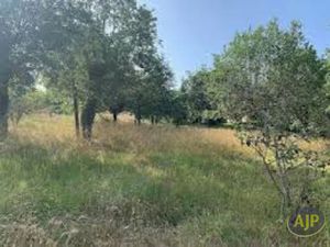 Vente terrain 1150 m² à Lege-cap-ferret (33950)  343 000 €