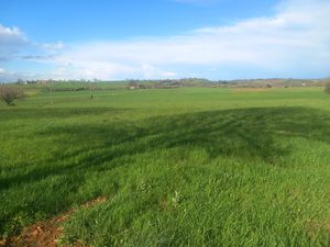 Grand terrain viabilisé