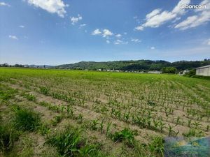 Terrain 6181 m² Lézignan