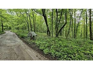 SOUS OPTION - PLUS DE VISITE - Terrain de 63 ares en zone de