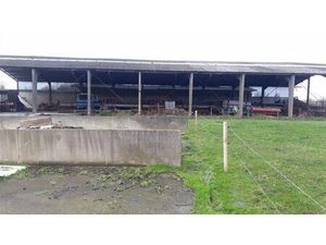 Surface industrielle à louer à Markegem (RAL23166)