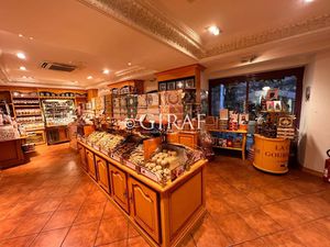 Vente locaux professionnels 65 m² à Saint paul de Vence (06570)  370 000 €