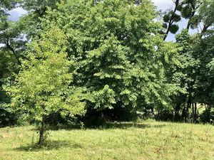 Maison de vacances parfaite