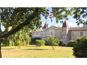 Château viticole 14 pièces 650m2 LANGON