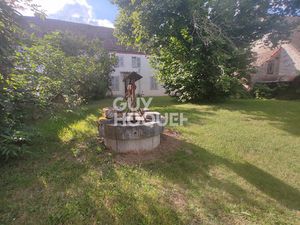 DAMEREY Beau potentiel