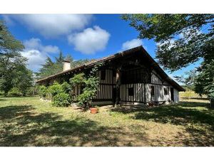 Maison Losse m² T-6 à vendre  295 000 €