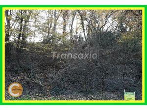 Vente maison 1 pièce Lunery (18400)