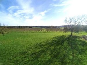 Vente maison 6 pièces 150 m² Saint-Pierre-de-Bat (33760)