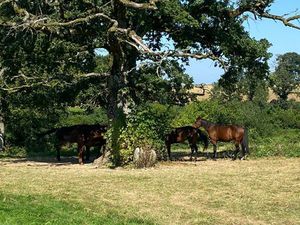 Propriété rurale sur 12 8 hectares de terres