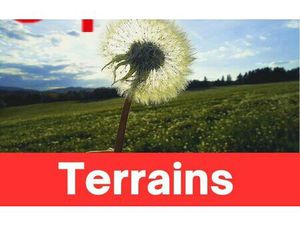 Terrain Argens-Minervois m² T- à vendre  69 900 €