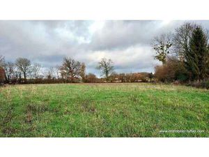 Vente Terrain à Beaufay (72110) : à vendre / 7100m² Beaufay