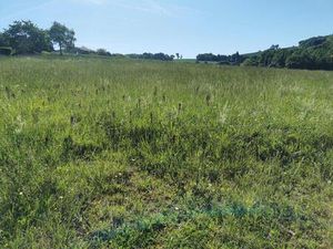 Terrain Beaumont-sur-Lèze 747 m² - Lot 1