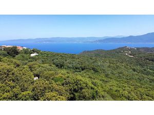 Vente terrain 2000 m² à Belvédère-Campomoro (20110)  270 000 €